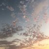 andrew_c081303